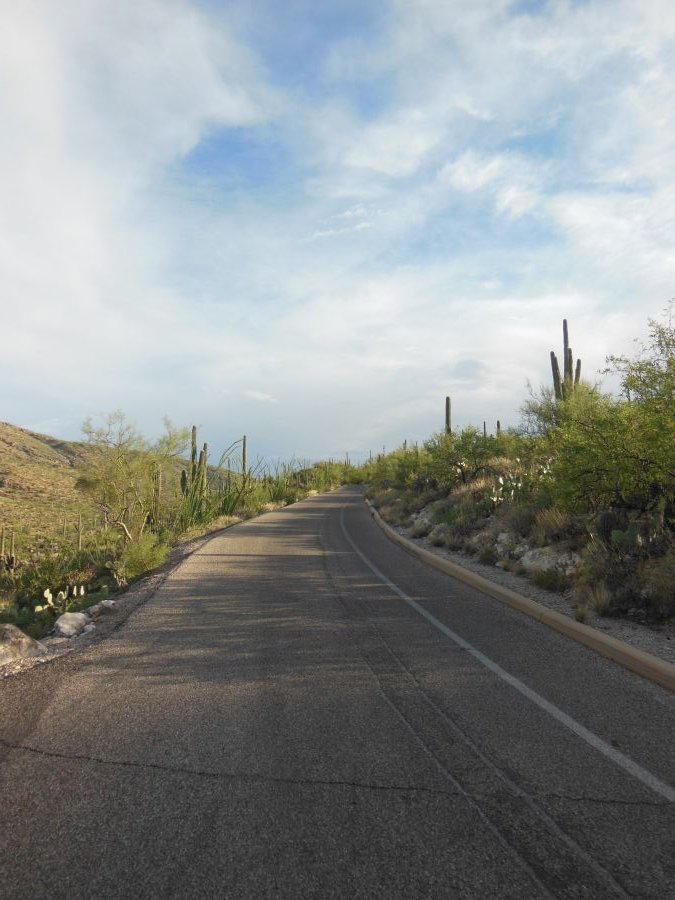 Route Saguaro