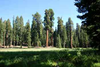 Album photo Sequoia National Park et Kings Canyon
