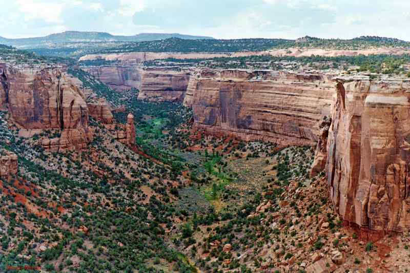 Ute Canyon View