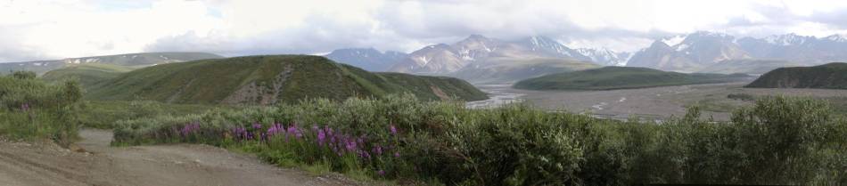 Denali National Park and Preserve
