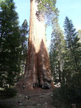Sequoia National Park et Kings Canyon