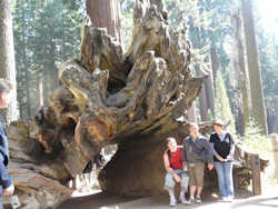 Sequoia National Park et Kings Canyon