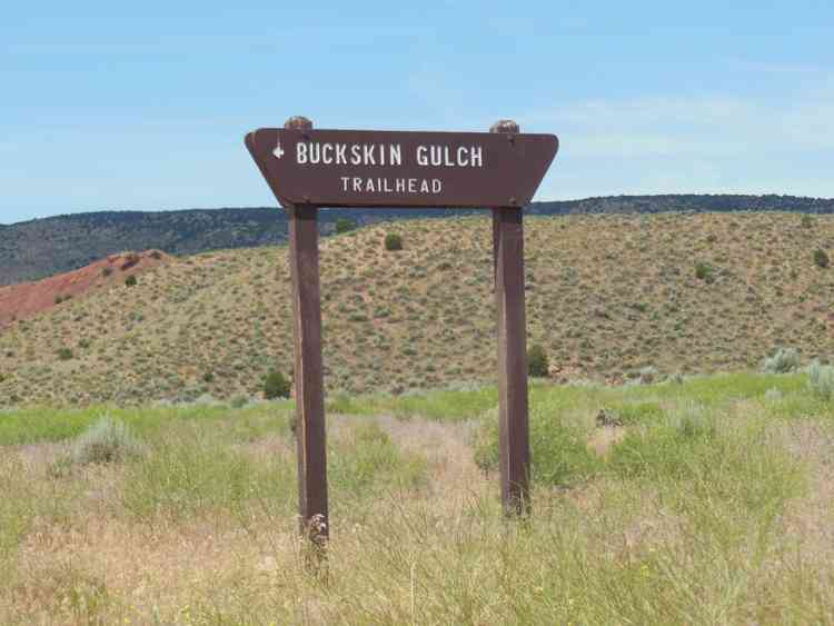 Trailhead Buckskin