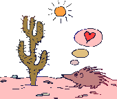 Gif animé cactus