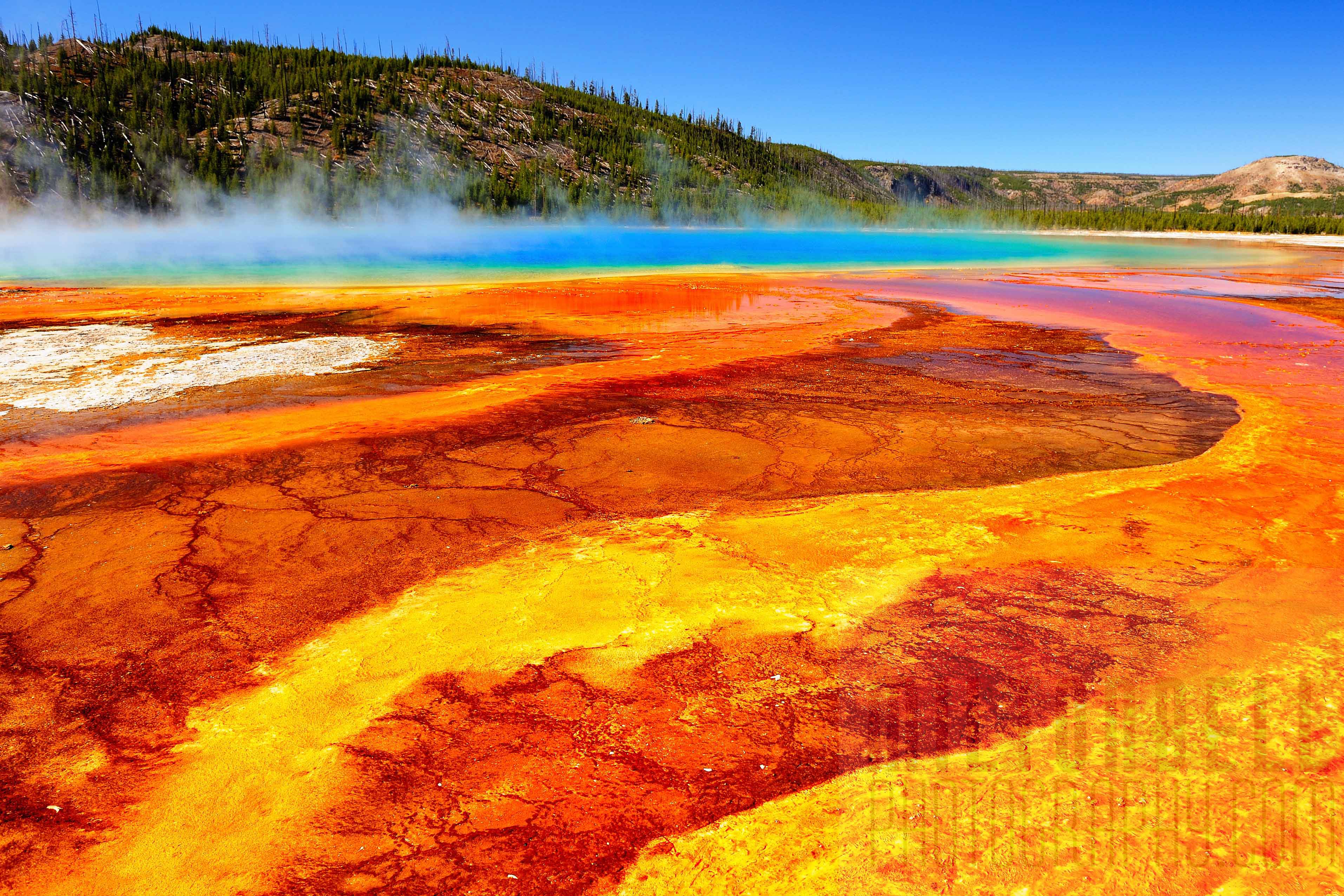 fond d'ecran yellowstone