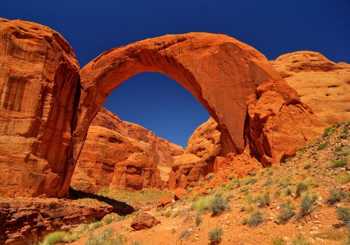 Croisière panoramique au Lake Powell : excursion jusqu'au Rainbow Bridge (6h)