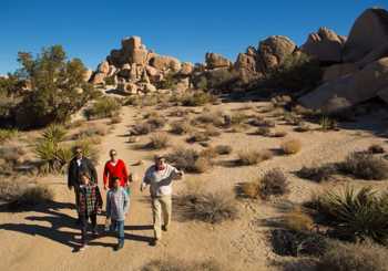 Excursion au parc national de Joshua Tree