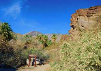 Tour en jeep et randonnée à Indian Canyons