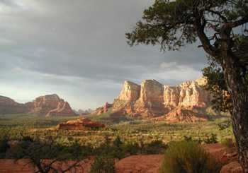 Excursion à Sedona : découverte des Red Rocks et des ruines d'Indiens d'Amérique – Au départ de Phoenix