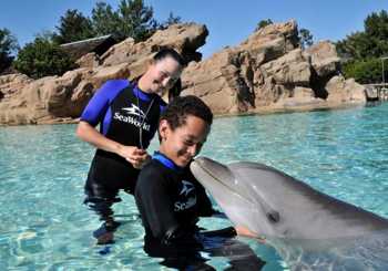 Billet SeaWorld San Diego – Coupe-file à l'entrée