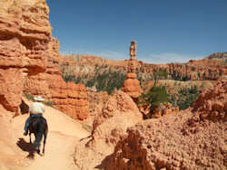 Bryce Canyon balade à cheval