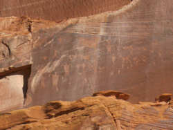 Visite guidée du Canyon de Chelly