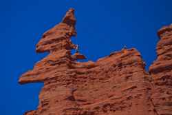 Fisher Towers