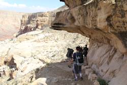 Havasu Falls