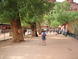 Havasu Falls