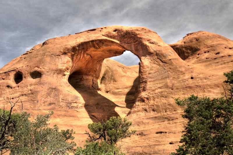 Spider Web Arch