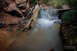 Kanarra Creek