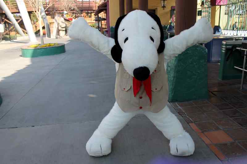 Camp Snoopy