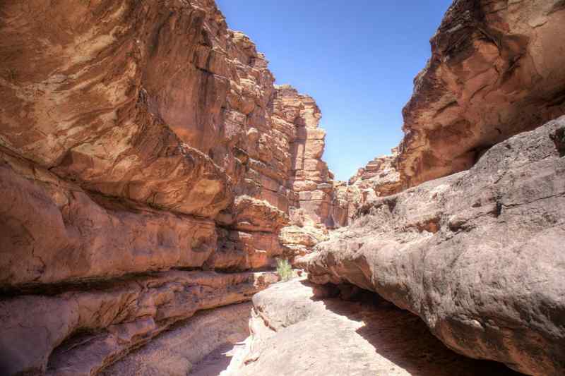 Cathedral Wash Trail