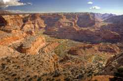 Little Grand Canyon Wedge Overlook