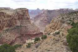 Little Grand Canyon Wedge Overlook