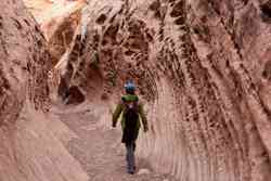 Little Wild horse Canyon