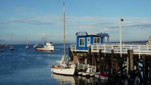 Monterey et Carmel by the Sea : visites, activités et tourisme