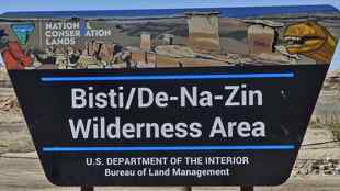 Bisti and De-Na-Zin Wilderness
