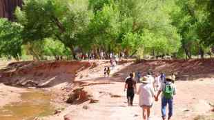 Visite guidée du Canyon de Chelly