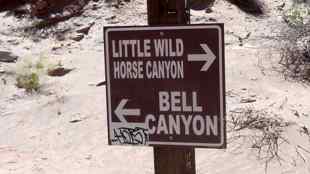 Little Wild horse Canyon