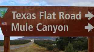 Mule Canyon