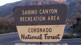 Sabino Canyon