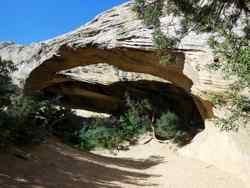 Moonshine Arch