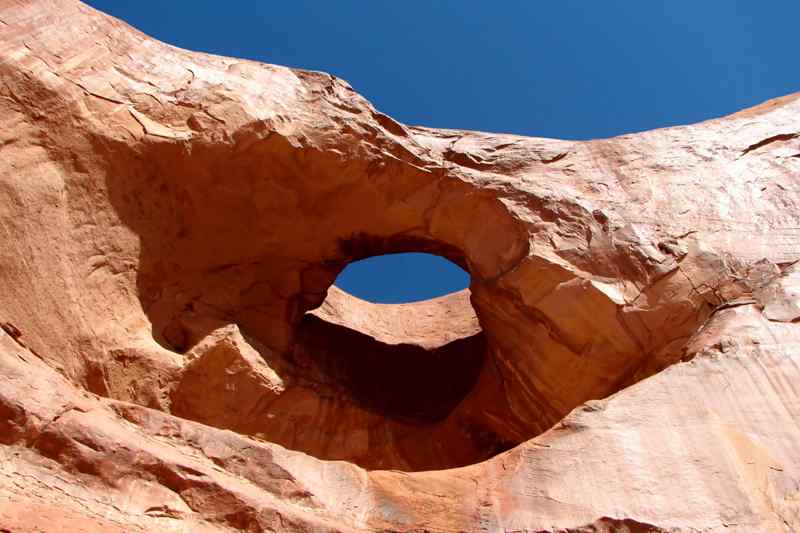 Pine Tree Arch