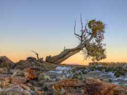 Ojito Wilderness Area