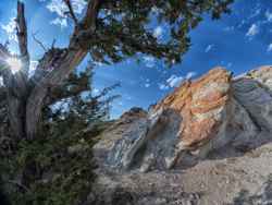 Ojito Wilderness Area