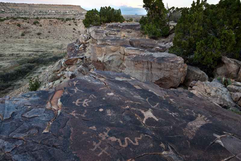 Pétroglyphes Seismosaurus Trail