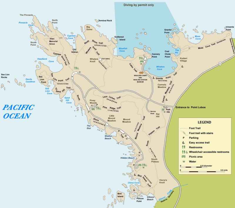 Point Lobos State Natural Reserve