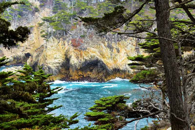 Point Lobos Loop Trail