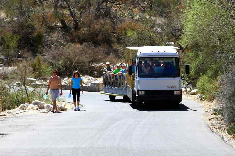 Navettes Sabino Canyon