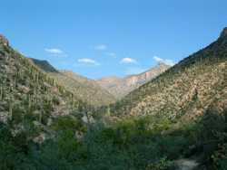 Sabino Canyon