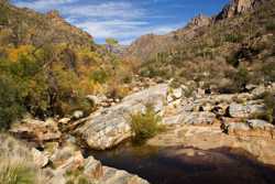 Sabino Canyon