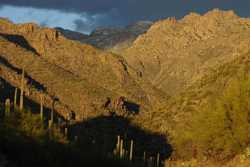 Sabino Canyon