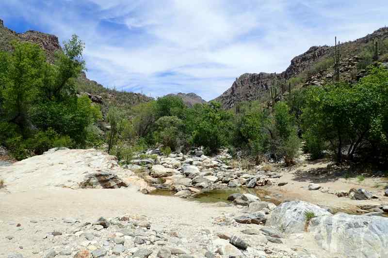 Seven Falls Bear Canyon