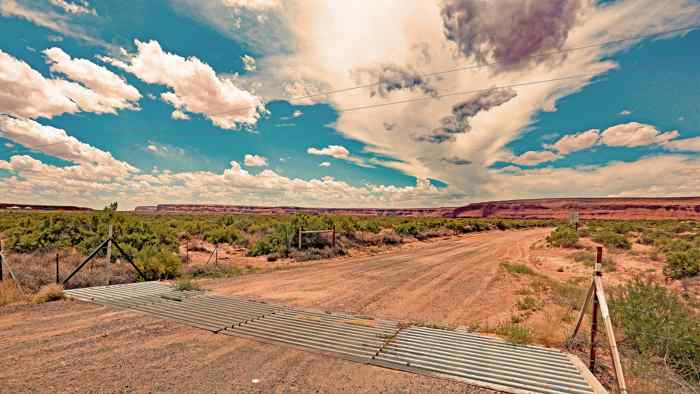 Cattle guard