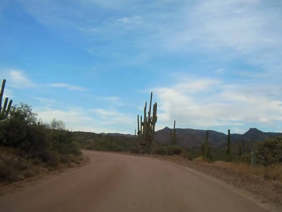 Apache trail cactus