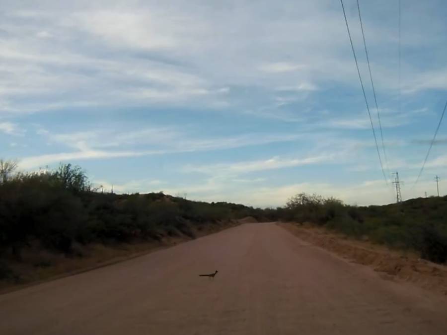 Apache trail Road runner