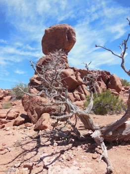 Balanced Rock