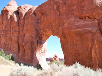 Pine Tree Arch