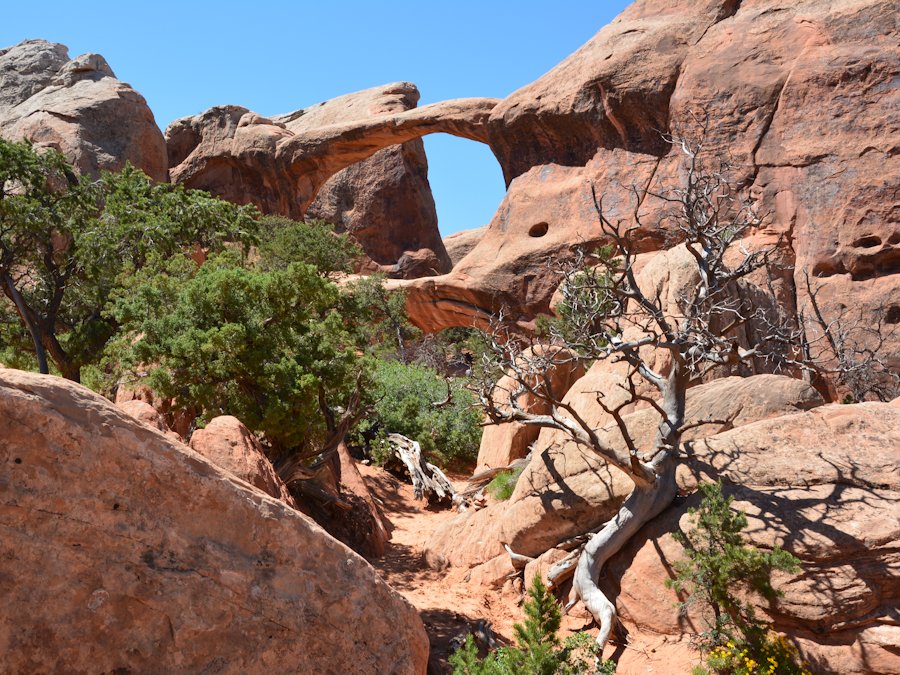 Double O Arch